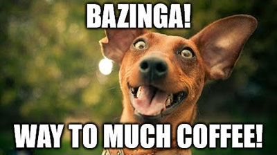 Funny Coffee + Dog Memes